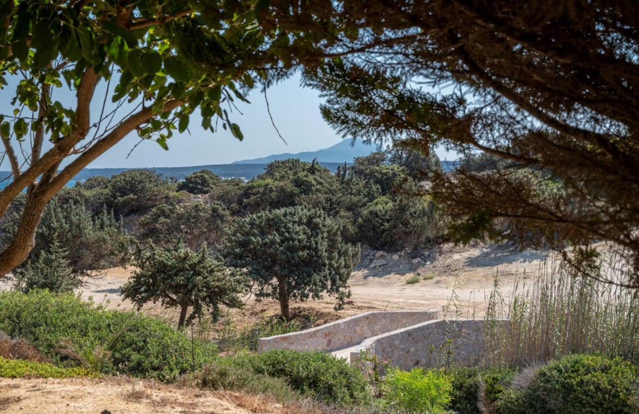 Ktima Sfakia Villa Kéfalos Exteriör bild